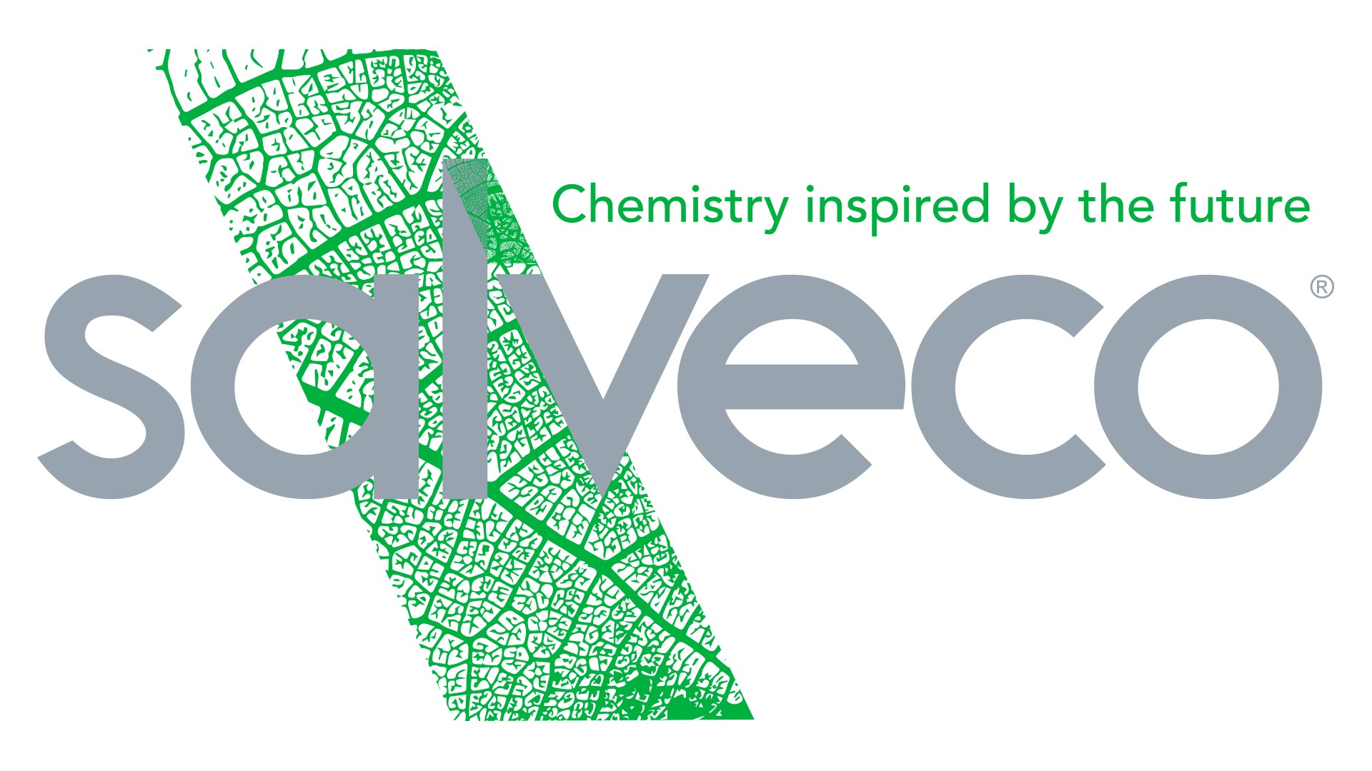 Logo salveco plant based chemistry laboratory
